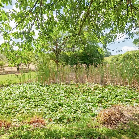 Molinuzzo - Joshua Farm stay San Donato in Poggio