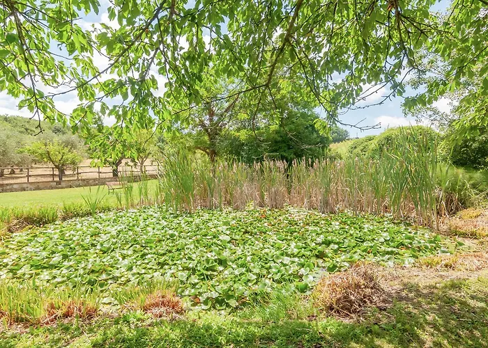 Molinuzzo - Joshua Farm stay San Donato in Poggio